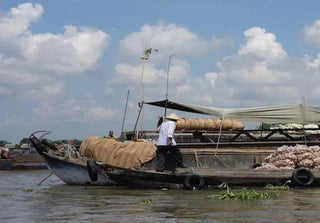 A boat and riverside scene from the Mekong Delta travel archive.