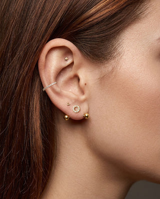 Transverse Lobe jewelry and styling reference