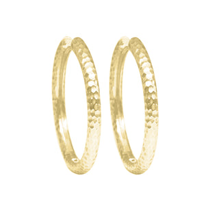 Hoop Earrings 14k Gold Hammered 30mm by Nina Wynn, product view