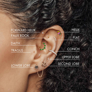 Cartilage Piercing Tragus Piercing Places Near Me Cartilage