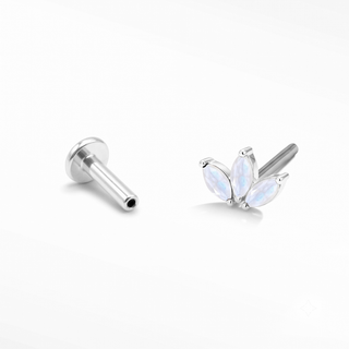 Baby Lotus Moonstone threadless top in 14K White Gold and titanium labret shown separately