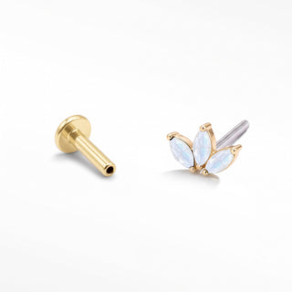 Baby Lotus Moonstone threadless top in 14K Yellow Gold and titanium labret shown separately
