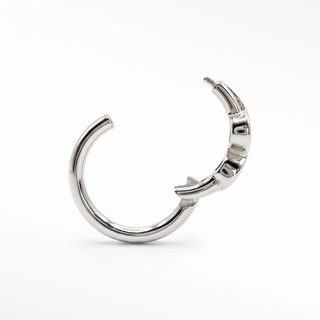 Cartilage hoop earrings in an edgy snake design. This luxurious 14k white gold 16g hugs your piercing perfectly