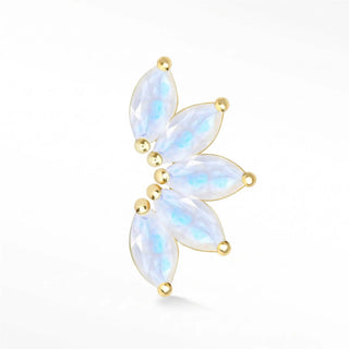 Discover stunning flat back earrings with moonstone set in 14k yellow gold. Experience elegance the wynning studs.