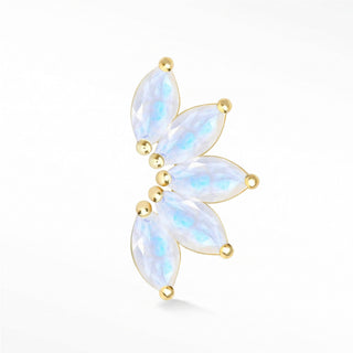 Flat Back Earrings Moonstone 14K Yellow Lotus