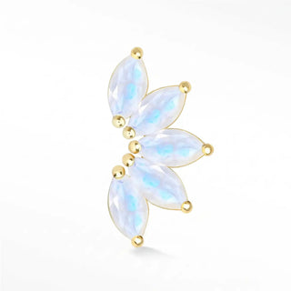 Discover stunning flat back earrings with moonstone set in 14k yellow gold. Experience elegance the wynning studs.