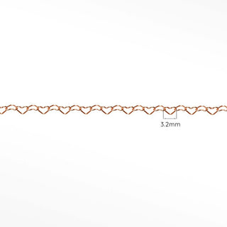 Heart Rose Gold Filled Chain for Permanent Anklet - Nina Wynn