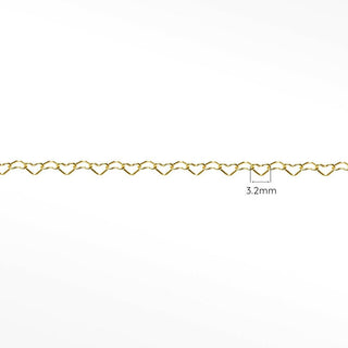 Heart Yellow Gold Filled Chain for Permanent Anklet - Nina Wynn