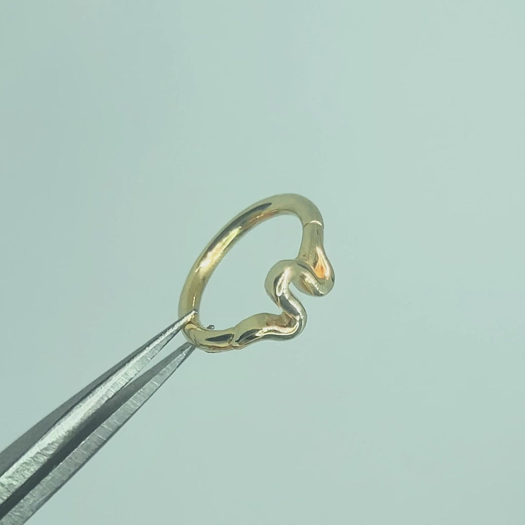Cinematic footage displaying the golden reflections and secure hinge mechanism of the Snake cartilage earring